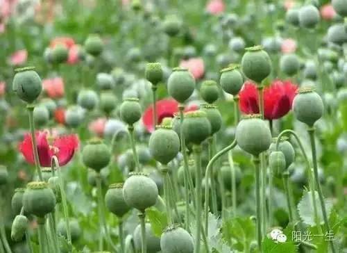 5G要来济南啦!十大领域完成5G商用