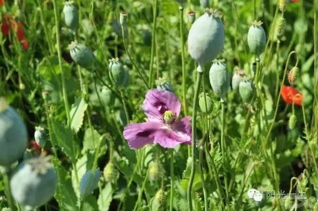 5G要来济南啦!十大领域完成5G商用