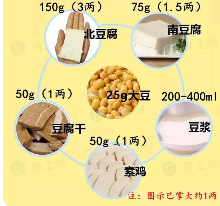 尿蛋白高吃什么最好最降得快(尿蛋白不能吃什么食物)