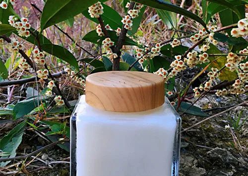 蜜中之王野桂花蜜