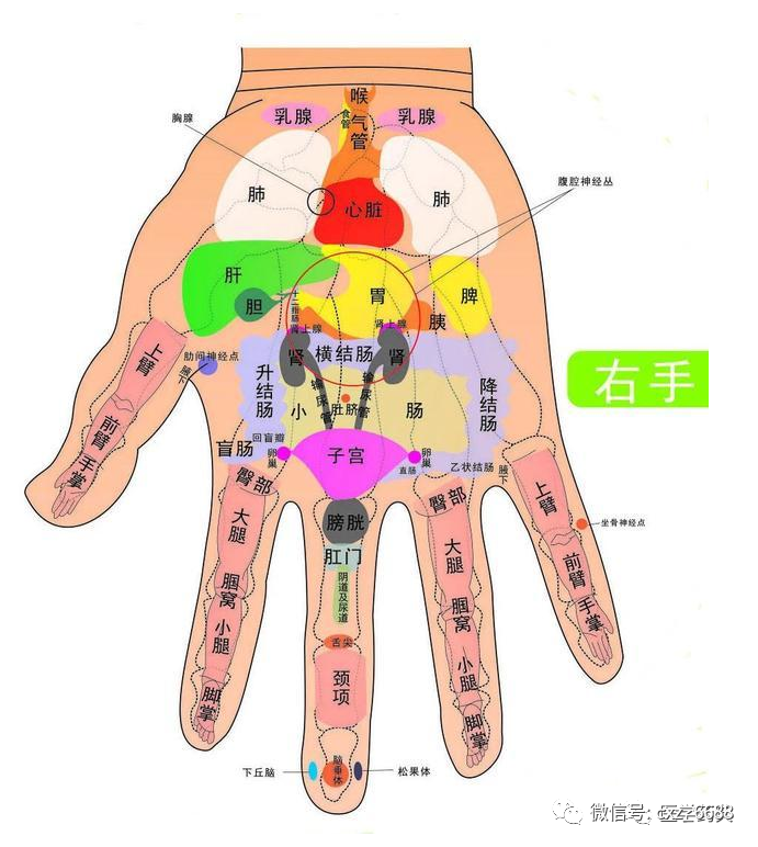 幾乎失傳的《中醫手診口訣》,建議收藏!_騰訊新聞