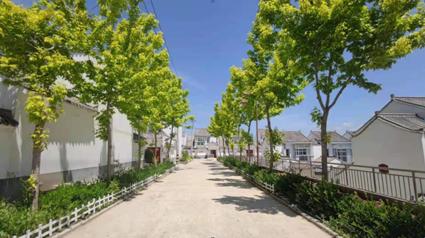 咸阳市有效巩固脱贫成果抓点示范推进乡村振兴