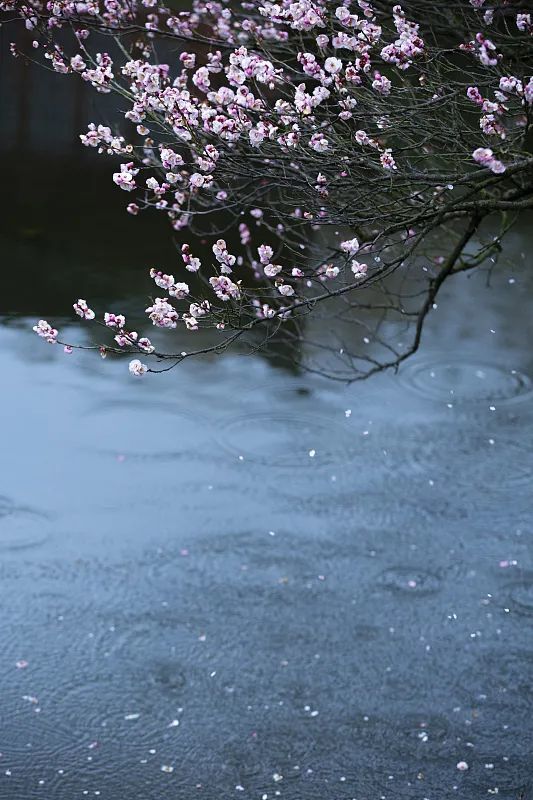 雨水好雨知时节当春乃发生