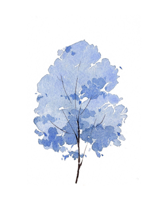 水彩小树画师一宅zzz