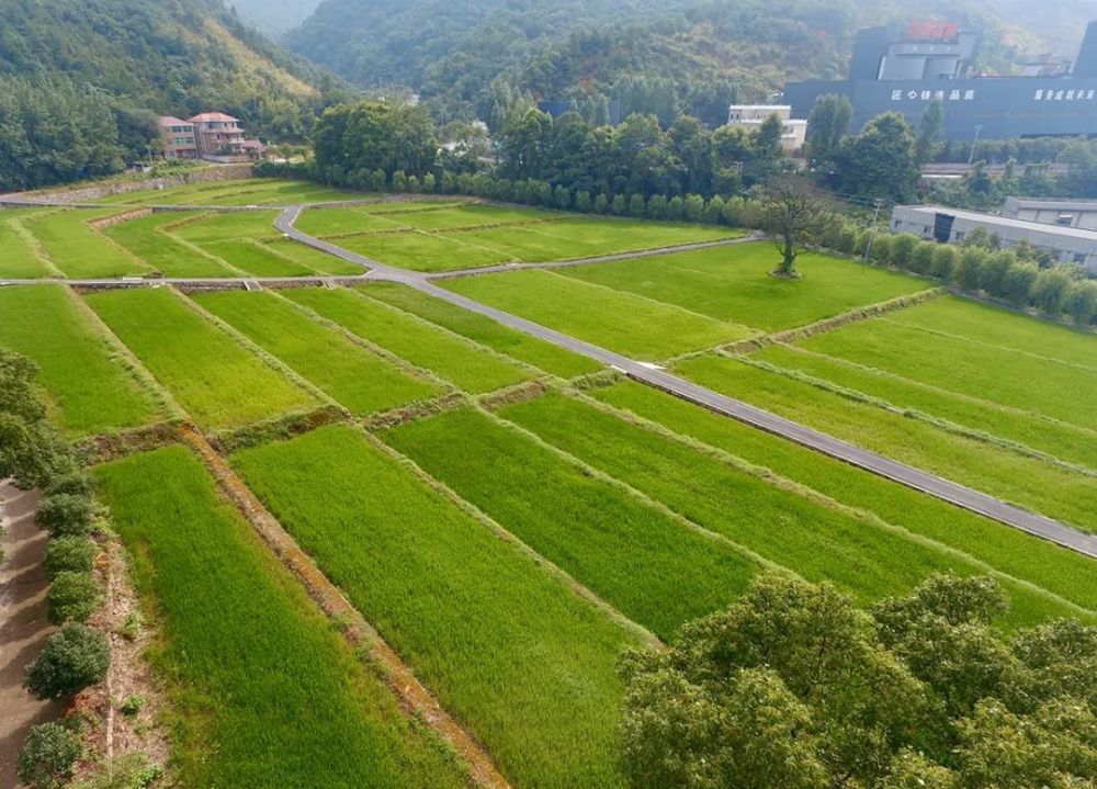 蘭溪市自然資源和規劃局念好土地三字經當好資源保障員