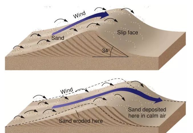 沙丘兩側不同的地質過程圖解:縱向沙壟在風力的作用下,沙子不斷往沙丘