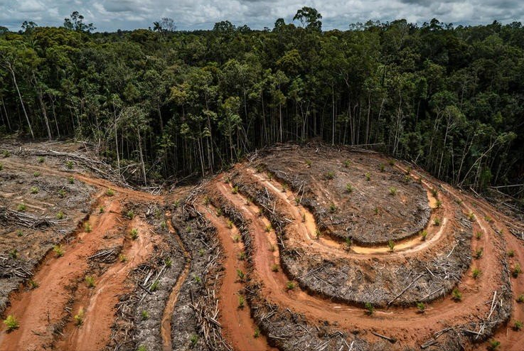 亚马逊河图片 恐怖图片