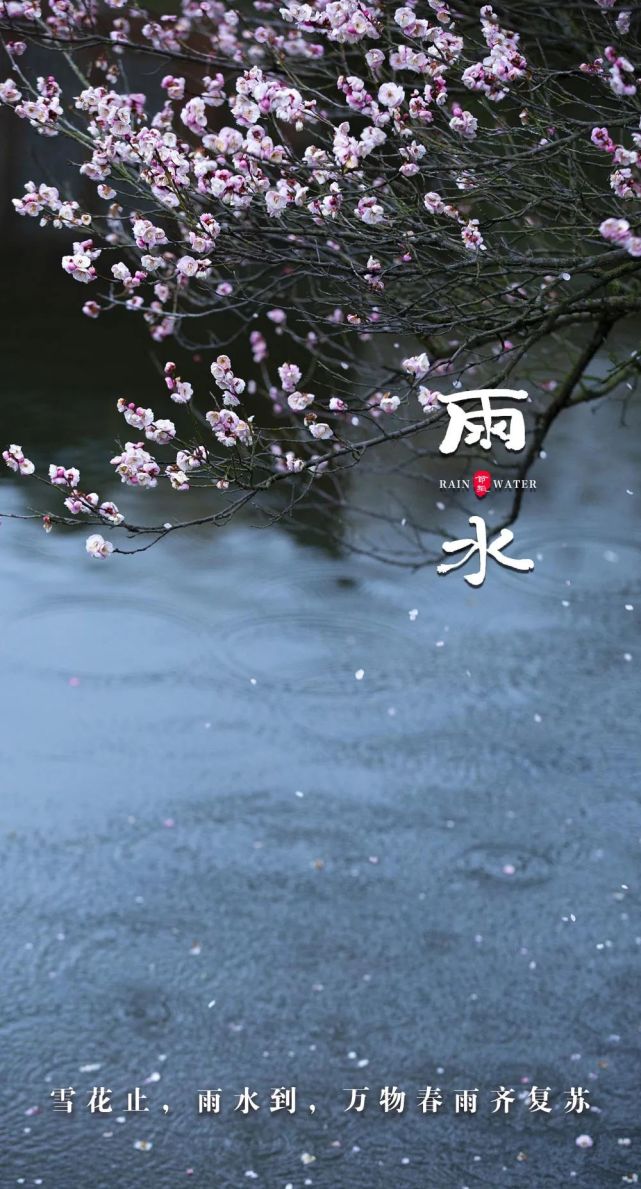 雨水春路雨添花花動一山春色