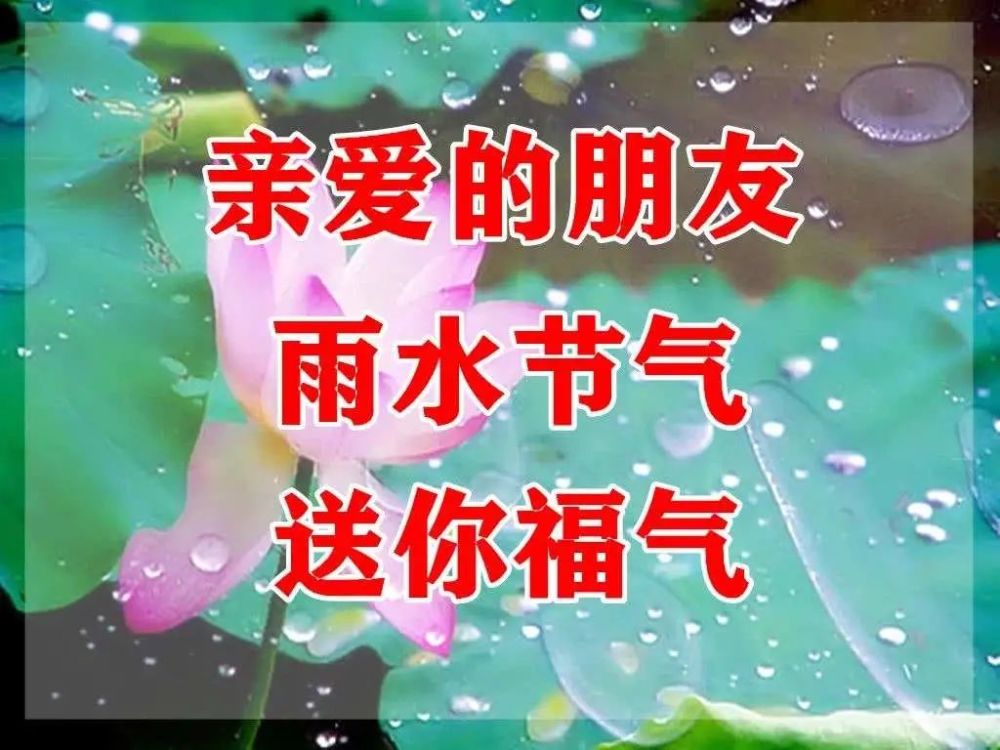 雨水多多祝福多多祝你美好时光天天有早上好