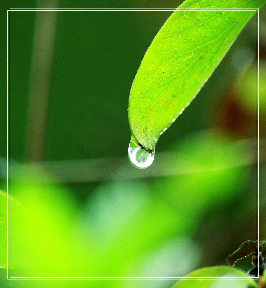 春雨貴如油