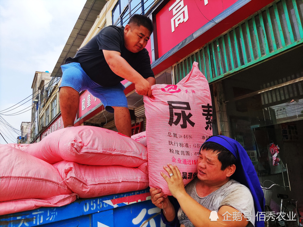 据某基层农资店老板介绍,当前尿素零售价格为140元/袋(100斤),和2021