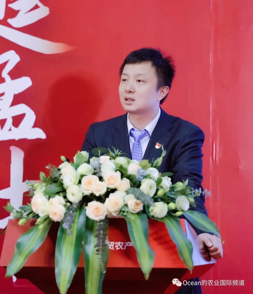 对话国贸农产总经理林宏书记县长一封信迈开徐闻菠萝rcep出口的第一步