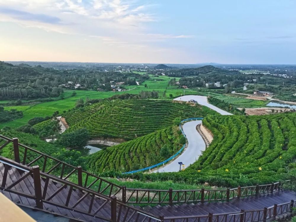 关注越来越好罗山这个镇上报啦