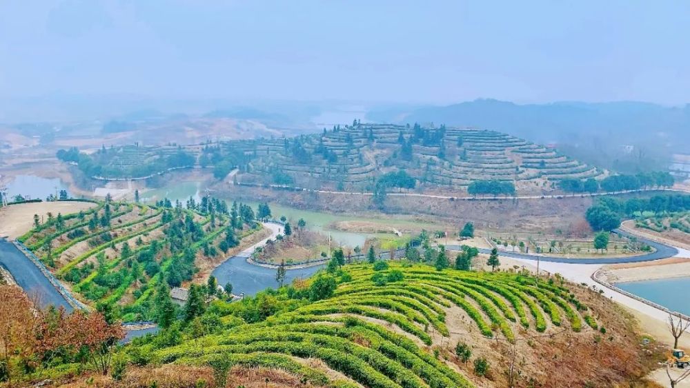 关注越来越好罗山这个镇上报啦