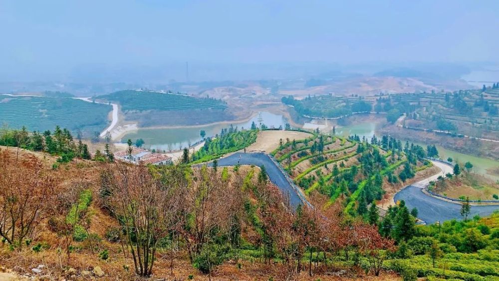 关注越来越好罗山这个镇上报啦