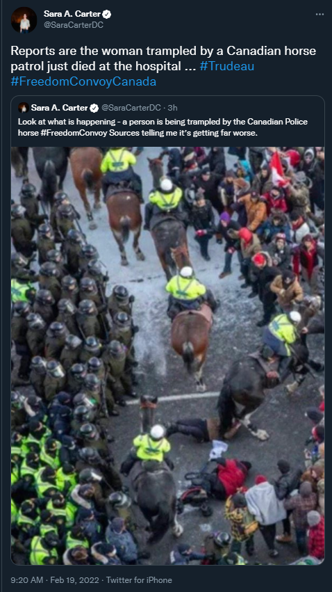 骑警撞翻老妇，加拿大警方驱逐示威者逮捕上百人，事后表示“马没受伤”中国农业大学怎么样