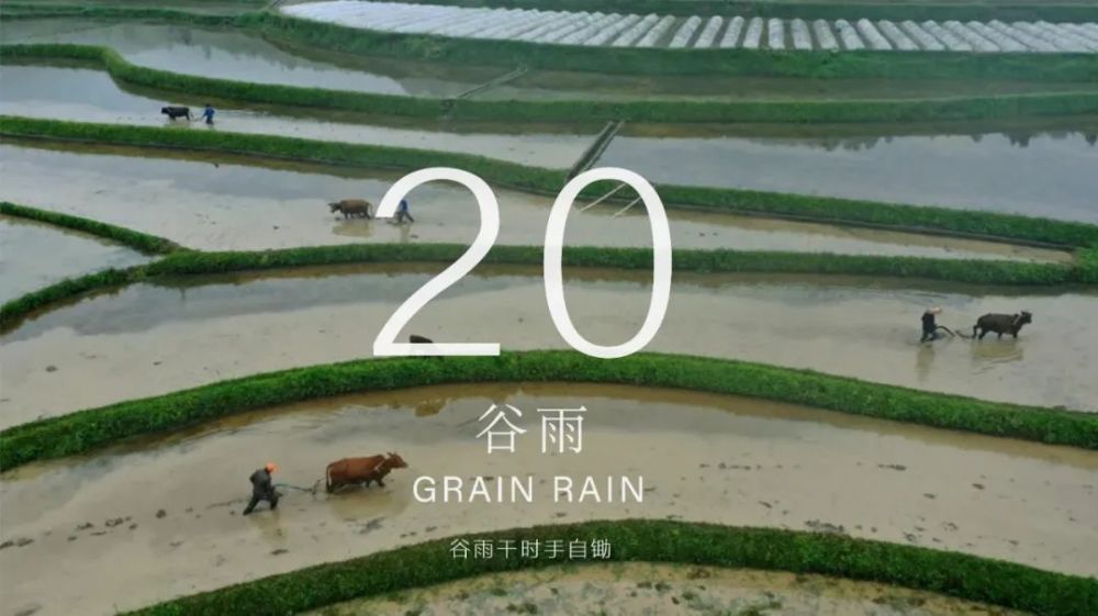 邵平瓜地接吾廬,穀雨干時手自鋤.