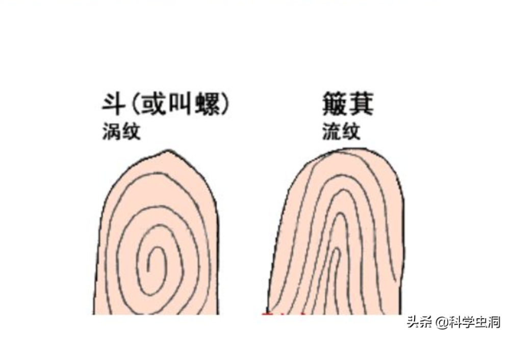 一斗穷 二斗富 康熙10个 簸箕 科学家发现斗与簸箕的奥秘 腾讯新闻