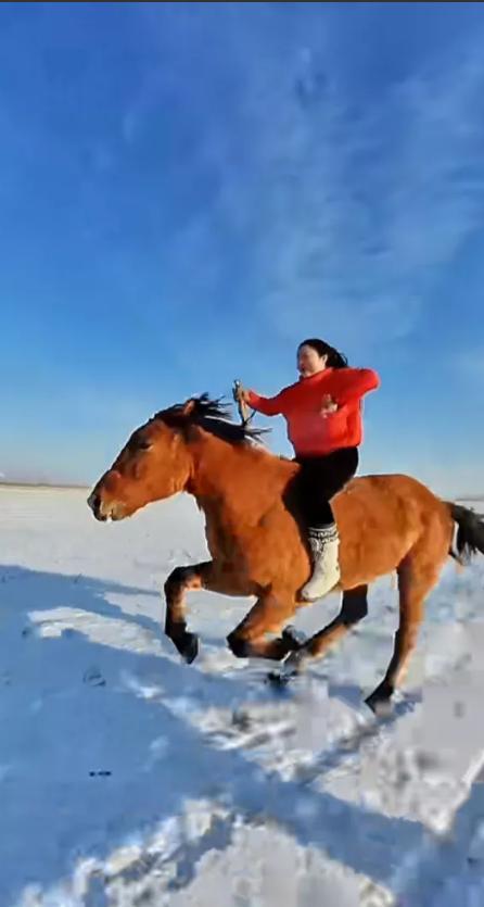 黑龍江一女孩雪地策馬狂奔網友神似武俠小說裡的俠女