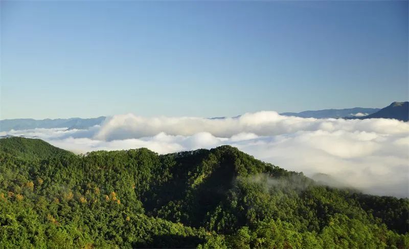一天一点普洱2391山有九十九歌有九十九景东九十九座山引人游