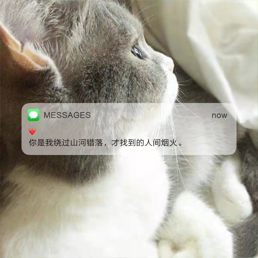 文案背景:把所有的温柔和可爱 都设置成仅你可见_腾讯新闻