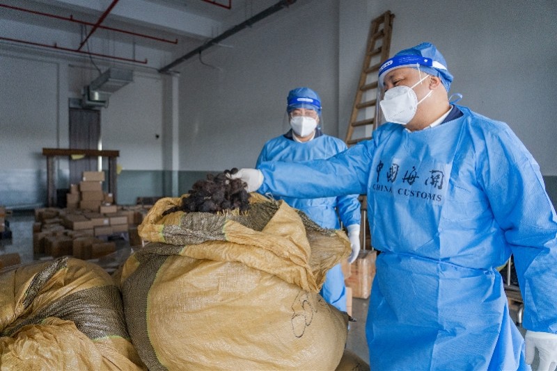 总重120公斤港珠澳大桥海关首次查获人体毛发案
