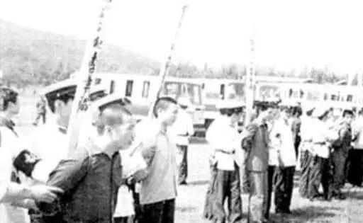 历史老照片:1983年严打时枪毙死刑犯现场罕见照片