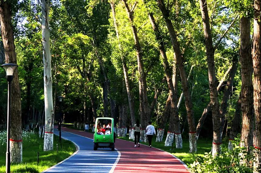 石河子市西防护林及西公园景观提升建设项目荣获自治区多项荣誉奖项