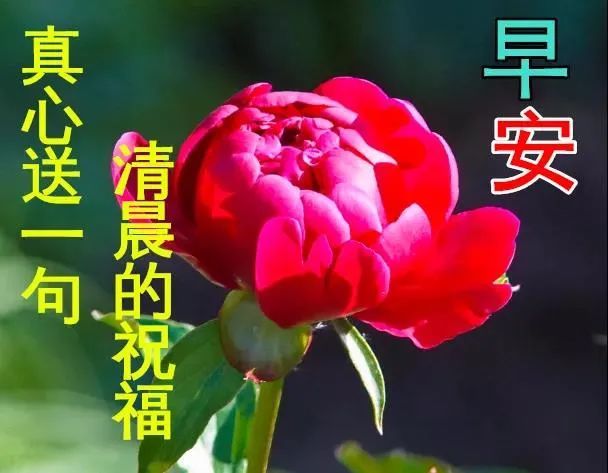 2月20日特別漂亮的早安祝福動態圖片大全,正月二十早上好祝福語!