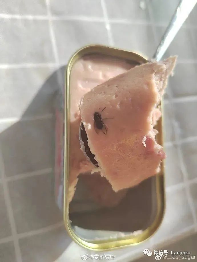 天津姐姐在梅林午餐肉里吃出苍蝇还有更恶心的