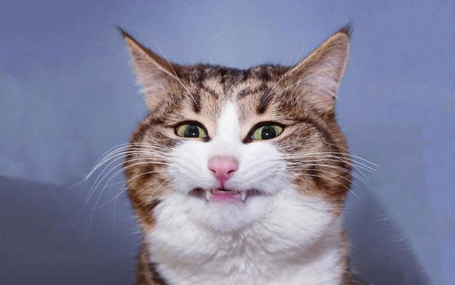 老婆劈头盖脸一顿骂骂的我一阵懵逼接着被罚卧室面壁