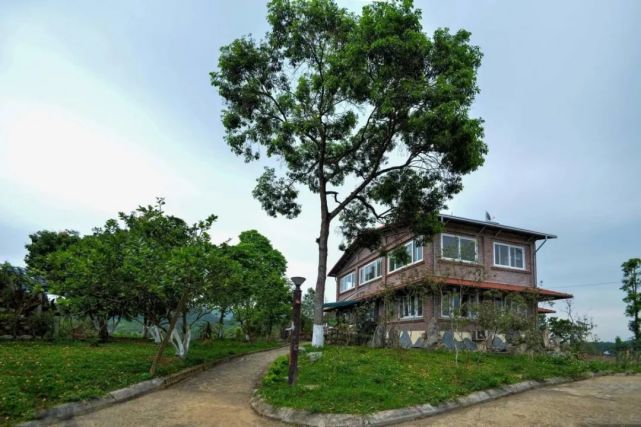 疫情下的越南旅游|民宿|永福省|越南_旅游|新冠疫情|和平省