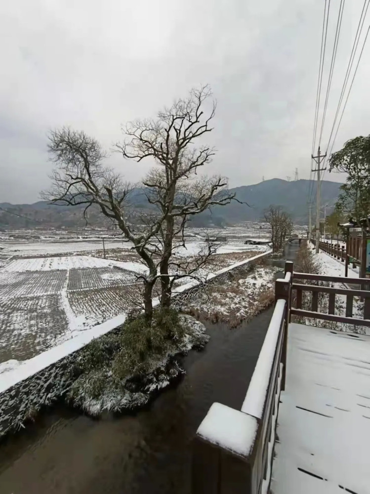 刚刚厦门下雪了