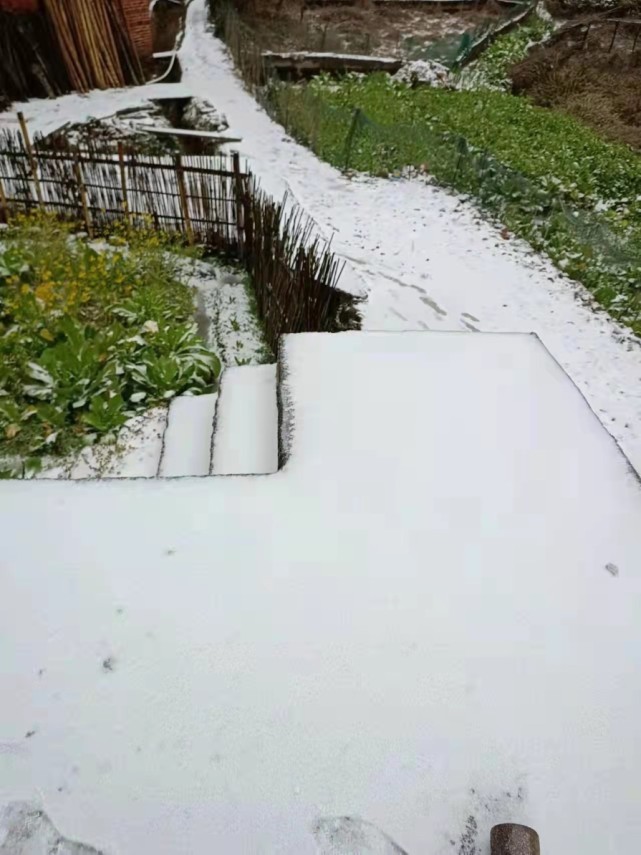 黃判養巡查大東山管理處的範圍後告訴記者,這幾年南嶺偶爾下雪,19日的