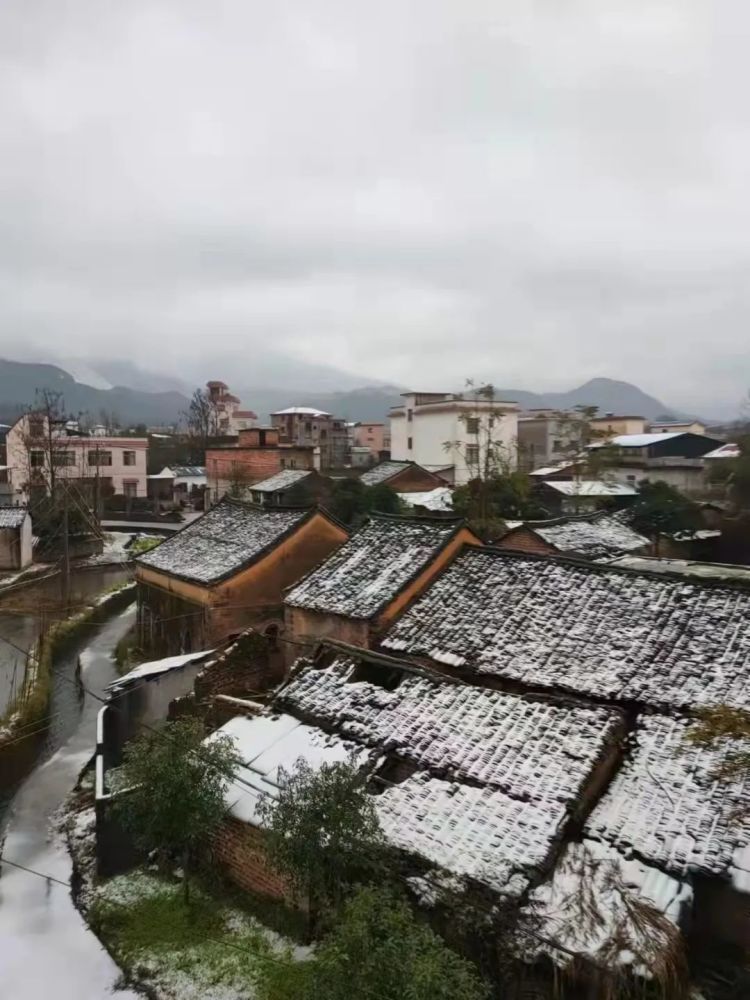 梧州白雲山下雪了還有廣西這些雪景美呆了