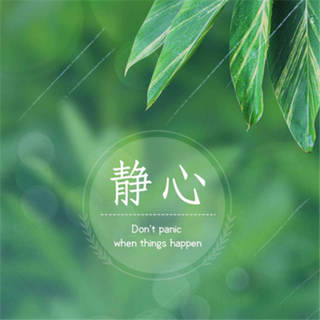 让人看了就静心的图片_看淡心静的唯美图片