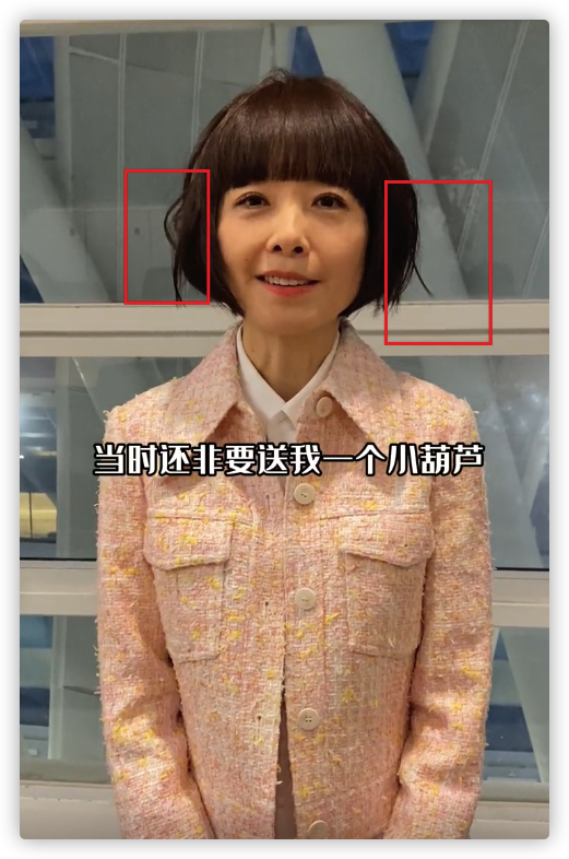 51岁陈鲁豫近况曝光,露面为寻子父母发声,被指太瘦形象惹争议