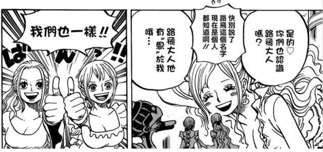 海贼王人物分析薇薇公主一个智商情商双高的女孩子