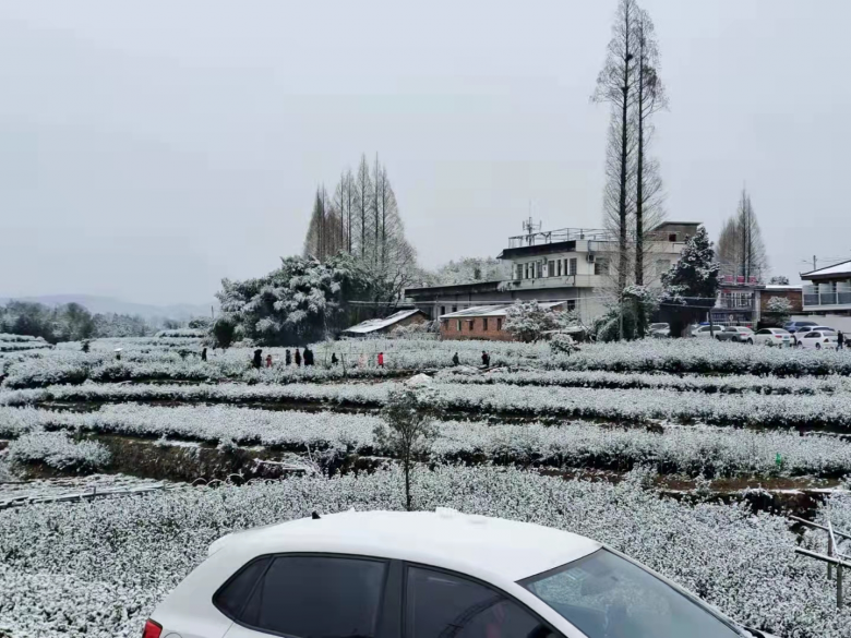 下雪了泰顺泽雅等地有积雪