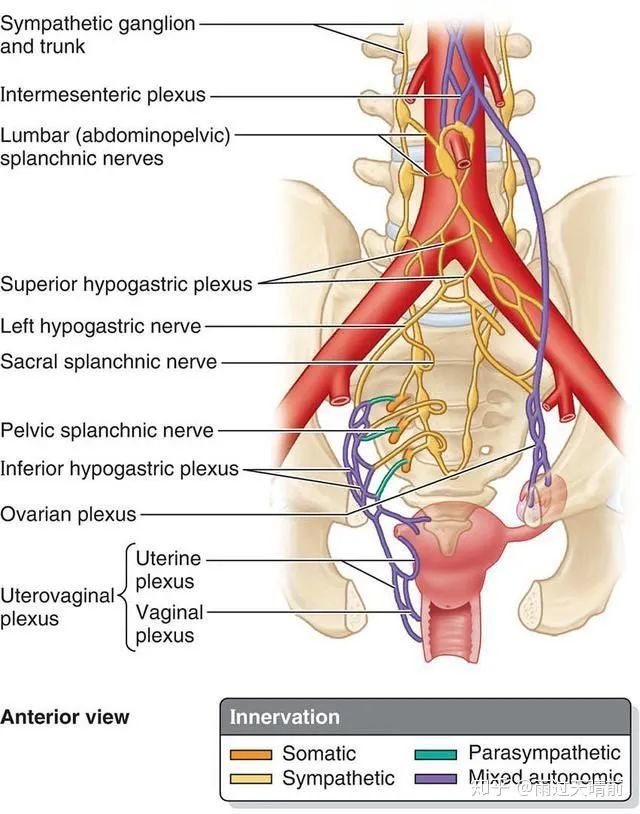 蘭州治痔瘡東大肛腸醫院我們為啥會得痔瘡得痔瘡咋辦