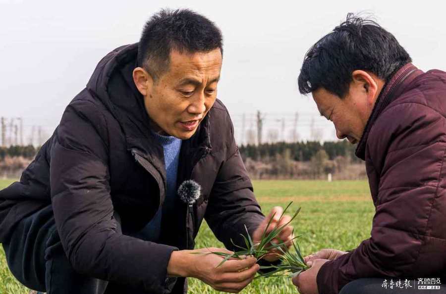 济宁新农人 涉农14年 如今他盯上是农业 芯片 的创新 腾讯新闻