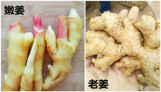 买生姜时嫩姜好还是老姜好区别原来这么大以后别再瞎买了