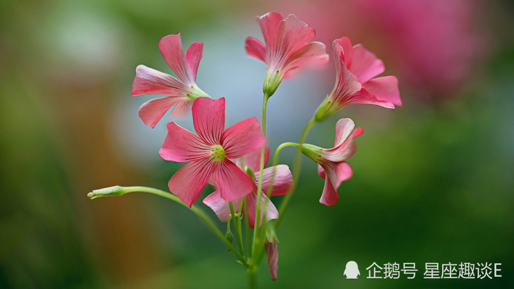 2月22日星座運勢 公私分明 充滿希冀的四大星座 天天看點