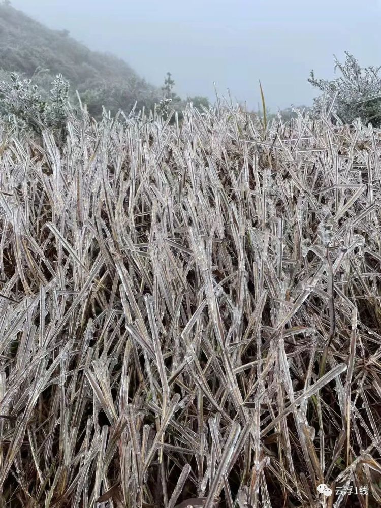 云浮大金山下雪图片