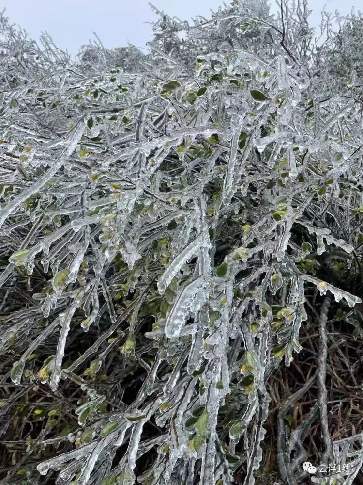 云浮大金山下雪图片