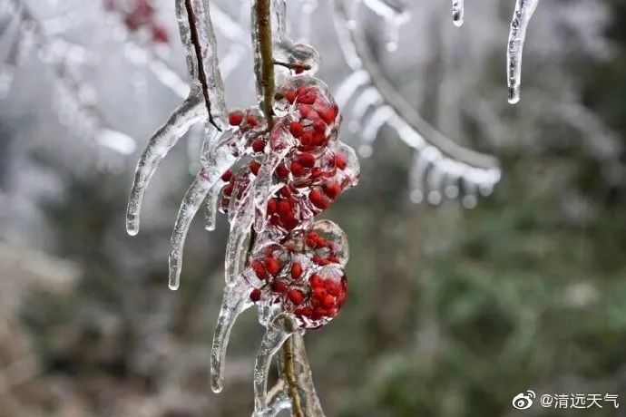 廣深佛莞多地下雪視頻刷爆朋友圈專家回應今晚到明晨最冷