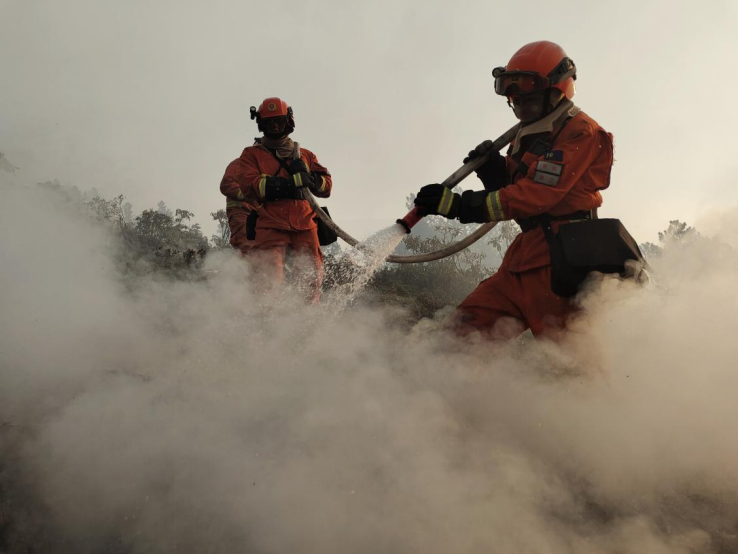 甘孜州九龍縣涼山州冕寧縣兩地發生森林火災火災均已撲滅火場轉入看守