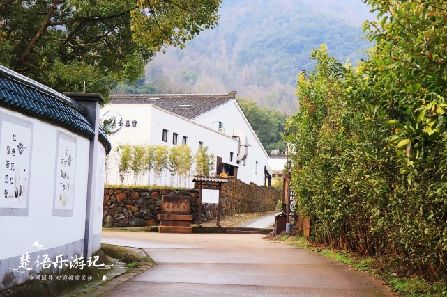 错过要再等一年|余姚市|梅园|梅花|黄宗羲文化园|宁波|南雷村