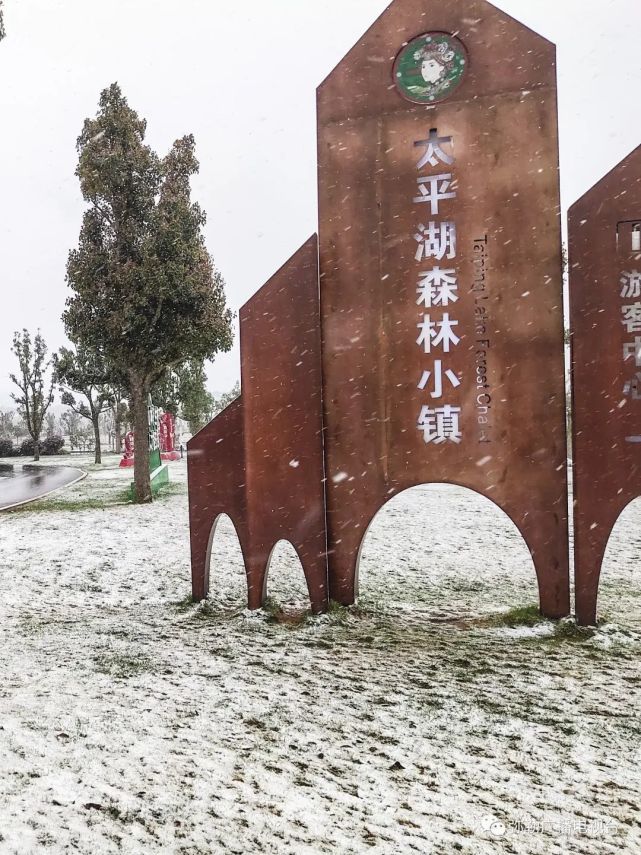 湖森林小鎮彌勒各地雪景彌勒未來天氣持續低溫,最低零下4度,除竹園