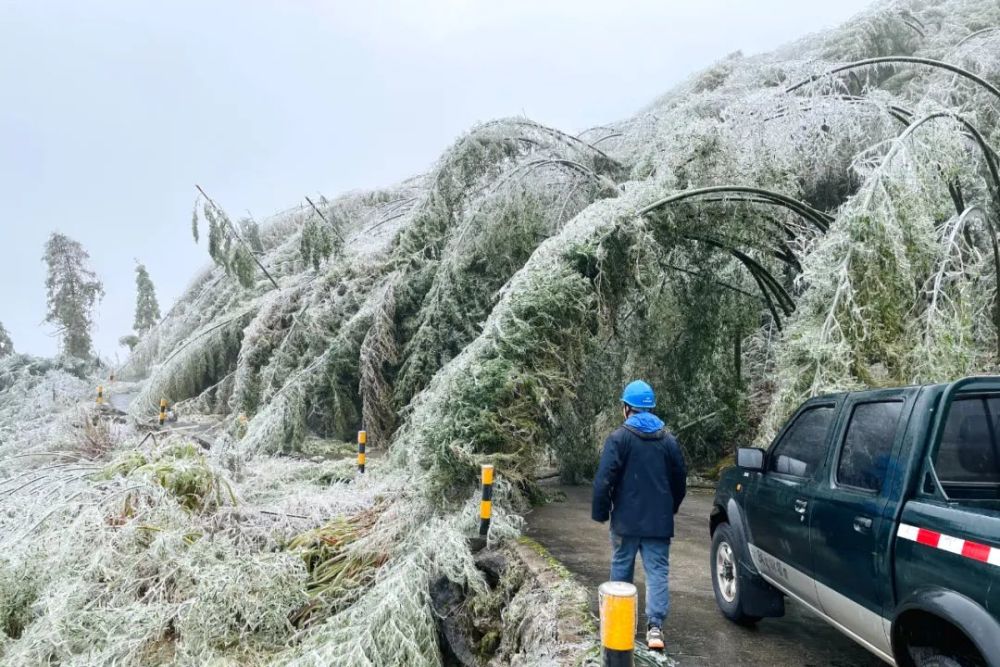 多地出现雾凇冰挂路面交通管制学校停课韶关积极应对寒潮天气